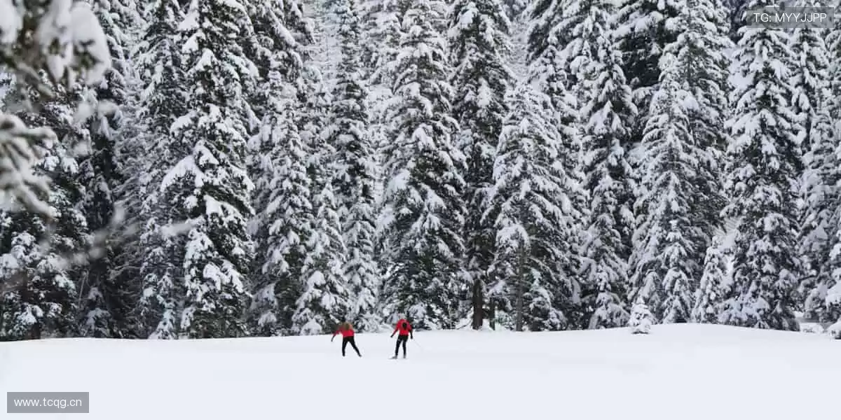 运动潮品,释放你的活力💥